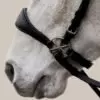 Bitless Bridle