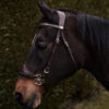 Nalanta bitless bridle