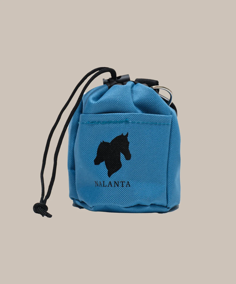 Reward bag for treats
