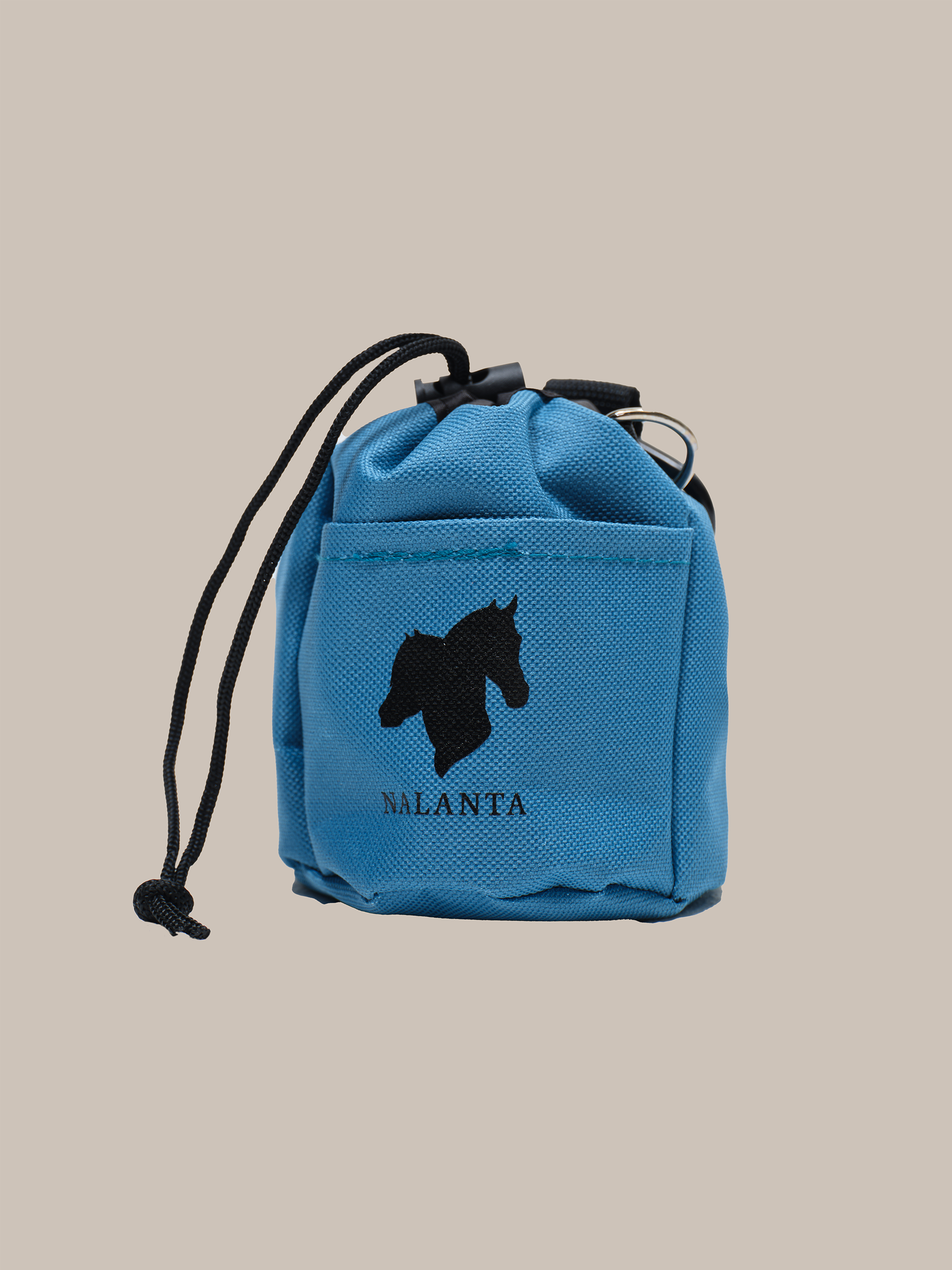Reward bag for treats