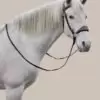 Nalanta Bitless Bridle