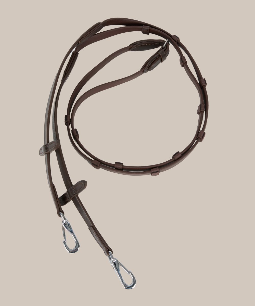 Nalanta reins with clips