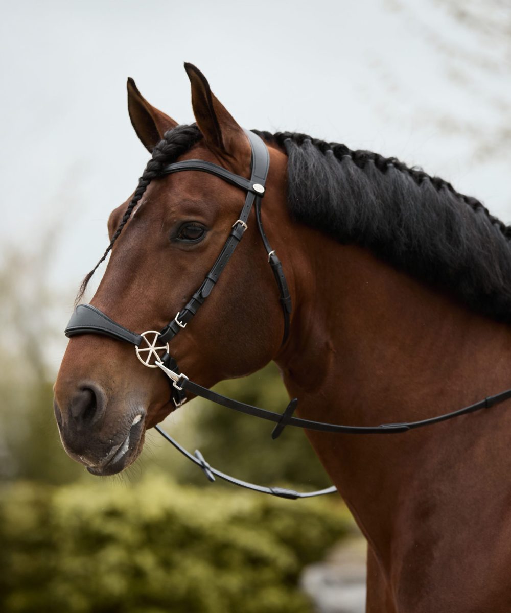 Nalanta Bitloos Hoofdstel Bundel