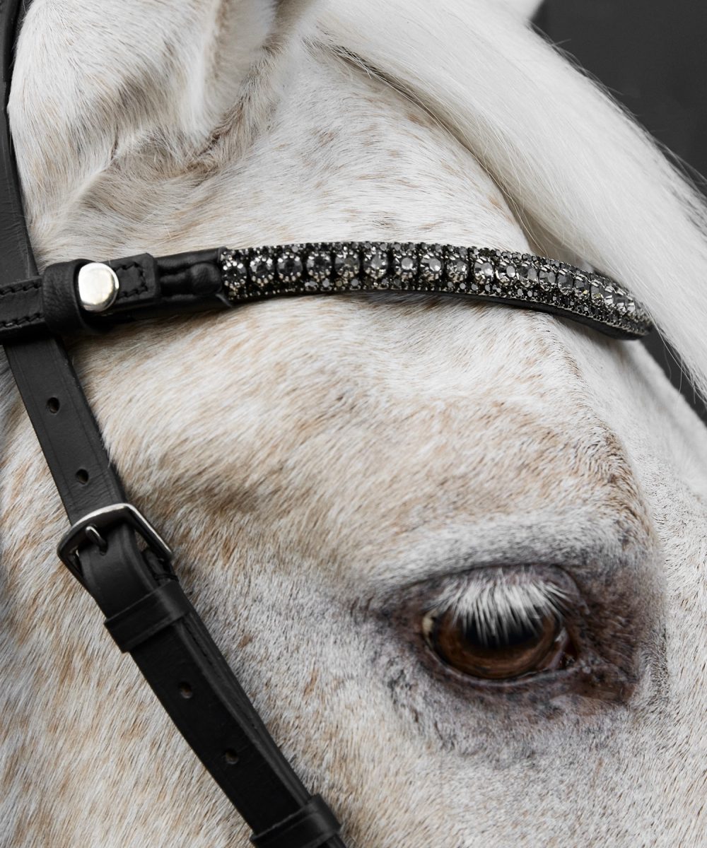 Nalanta browband black