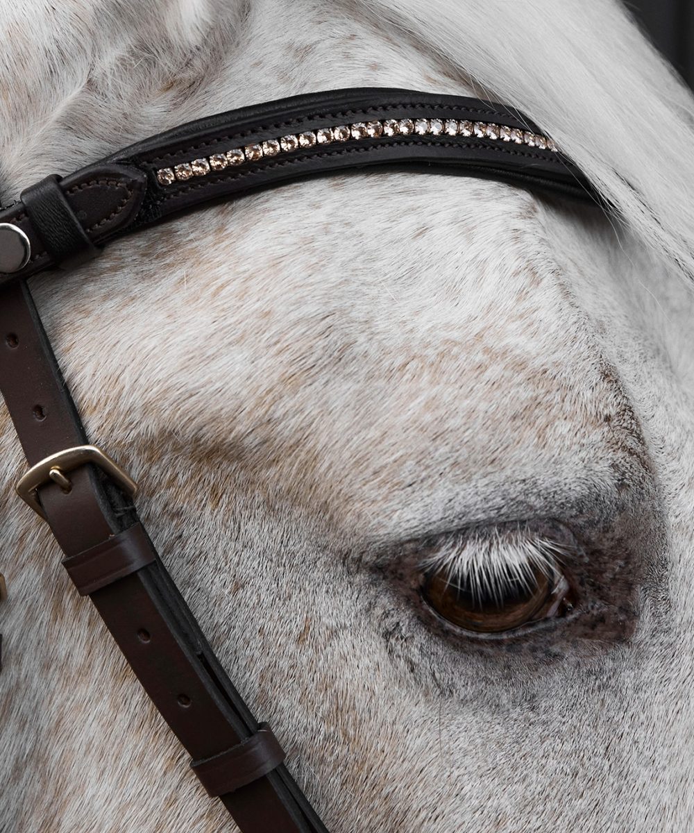 Browband Nalanta Brown