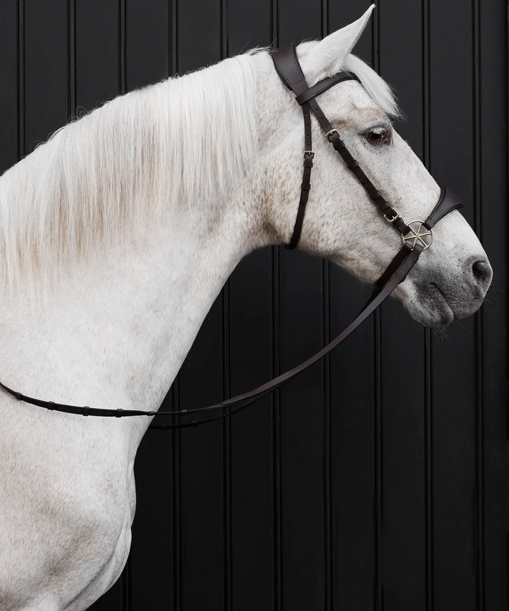 Nalanta Bitless Bridle - Full, Brown - Fittings: Brass