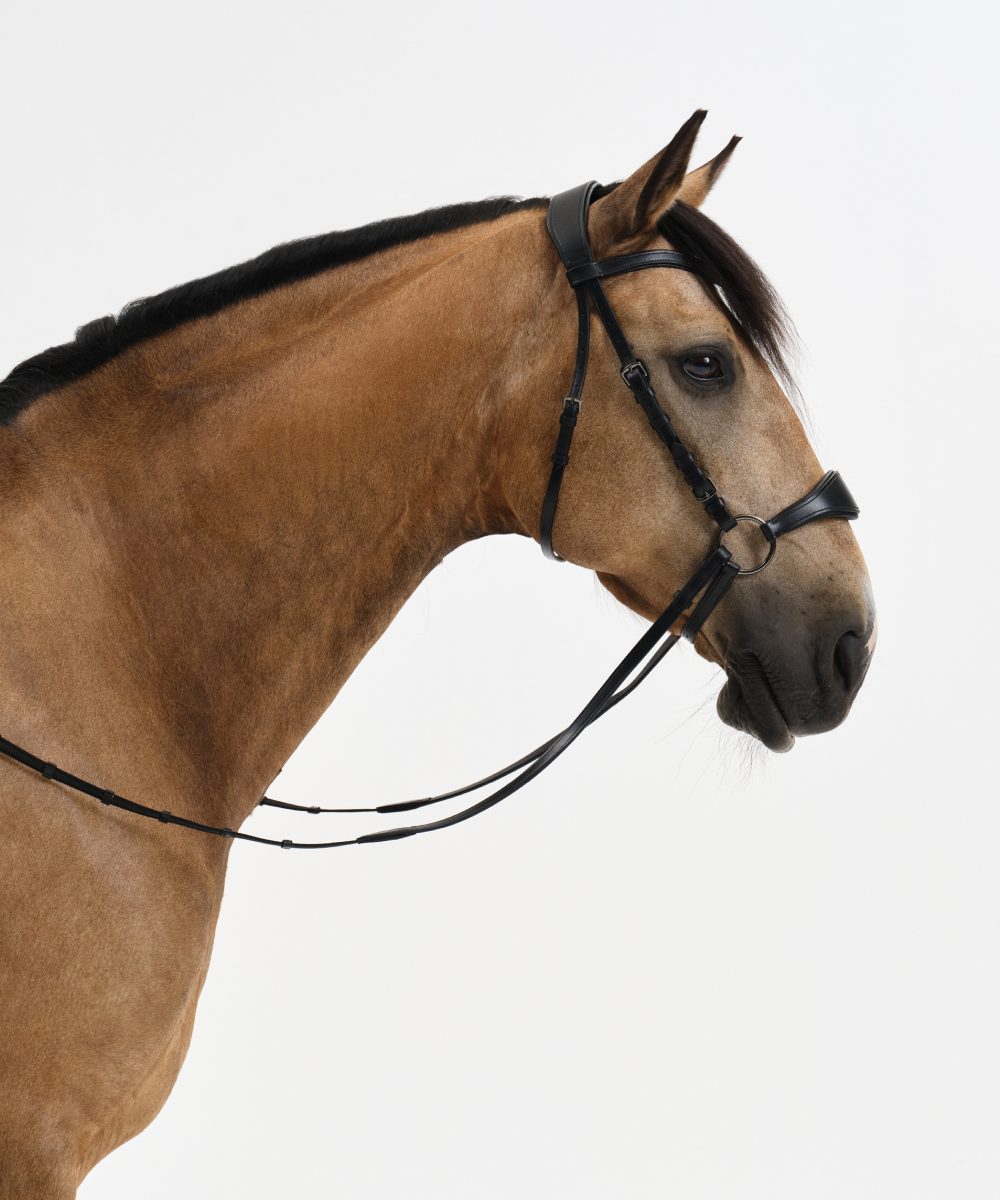 Nalanta hoofdstel Compete