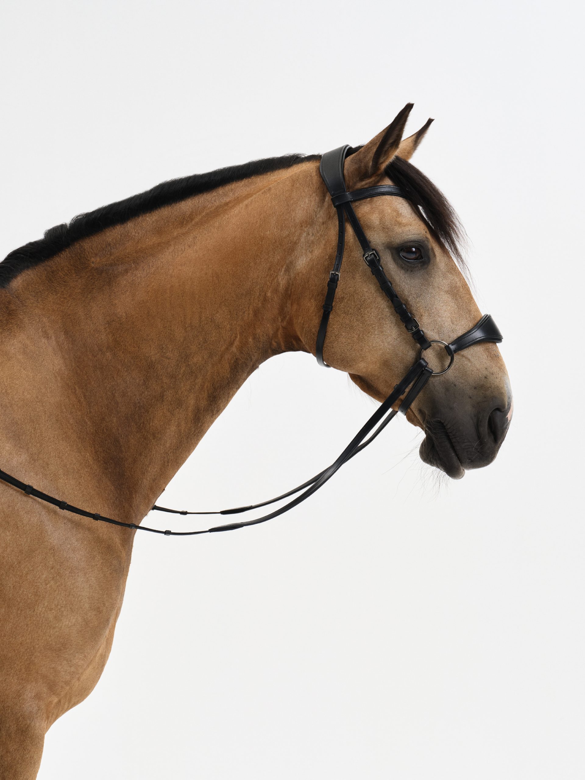 Nalanta hoofdstel Compete