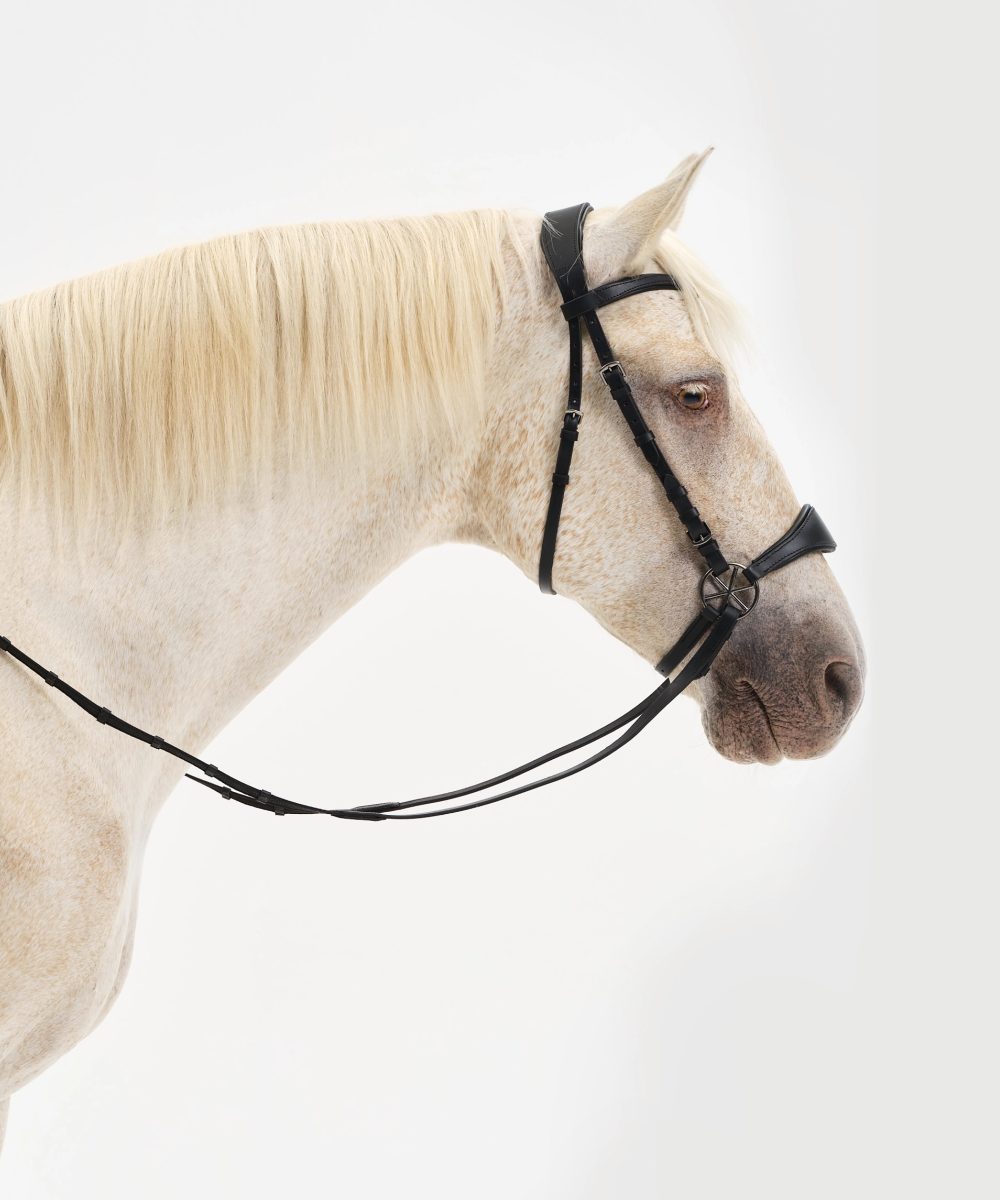 Nalanta bitloos hoofdstel