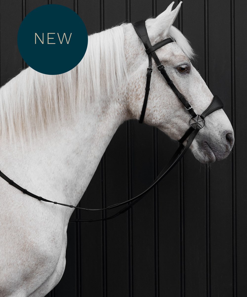 Nalanta Bitless Bridle Black Nickel