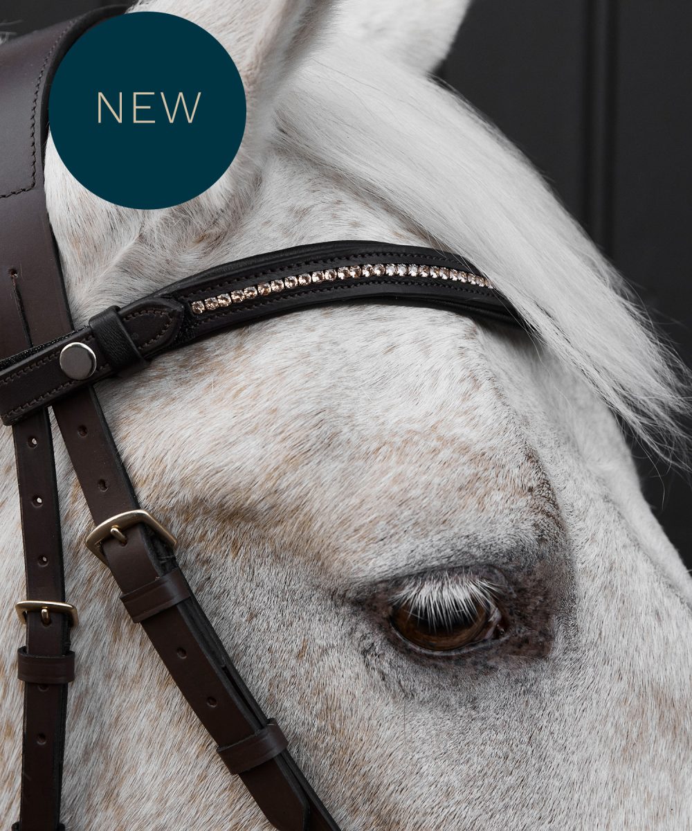 Browband Nalanta Brown