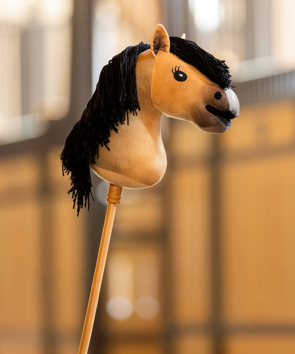 Hobby horse gaio
